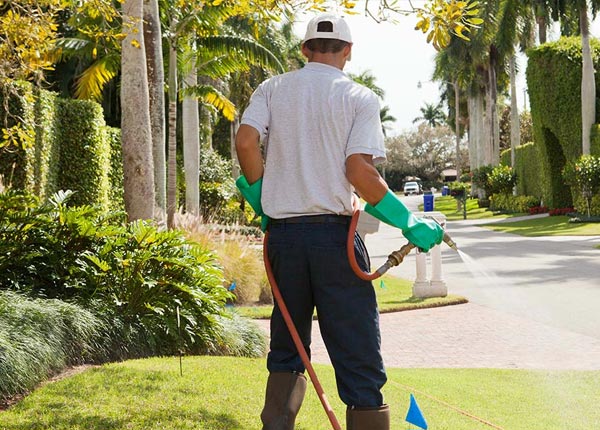 About Haverford PA Pest Control Pros